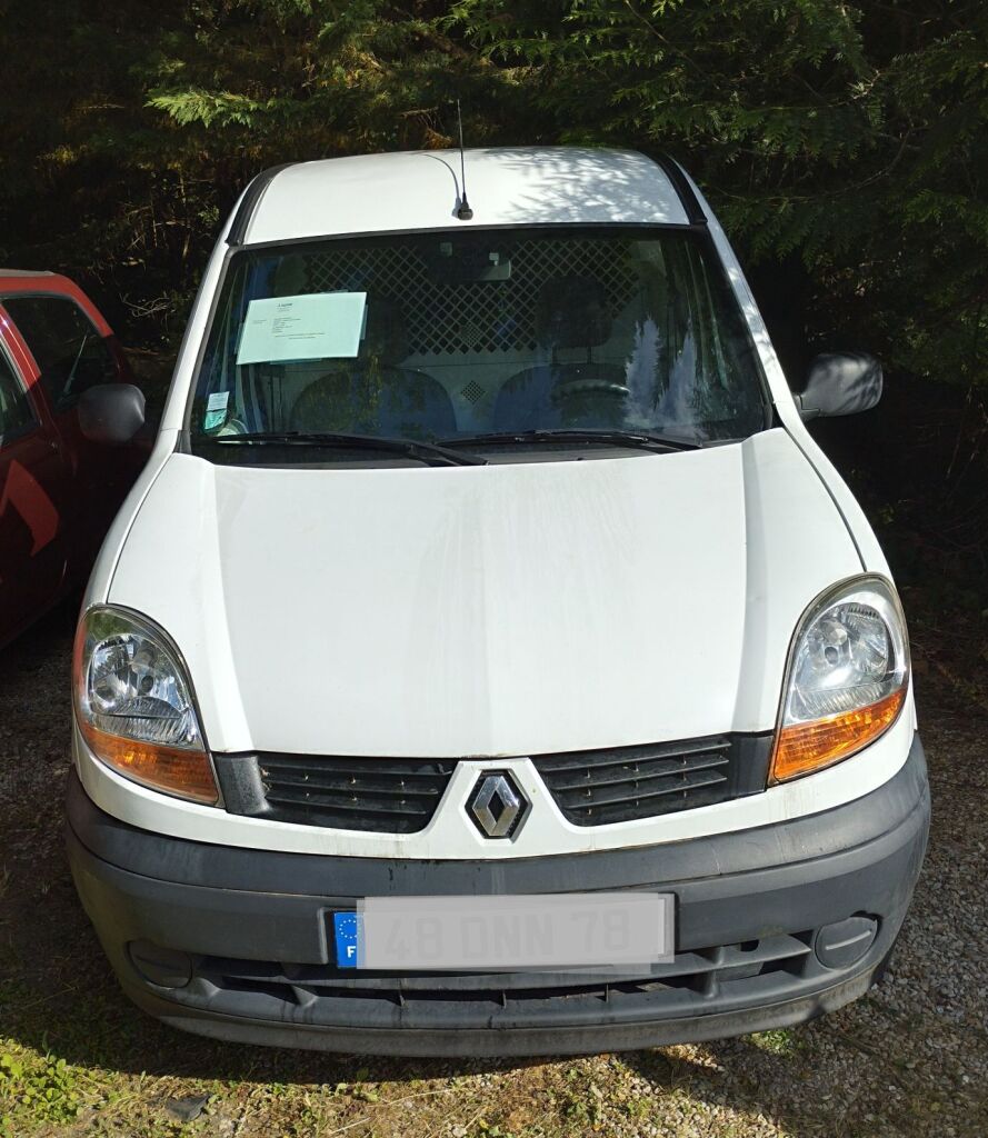 Renault Kangoo utilitaire